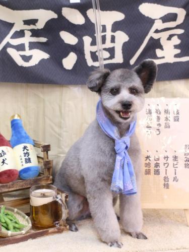 20240622シルヴァくん